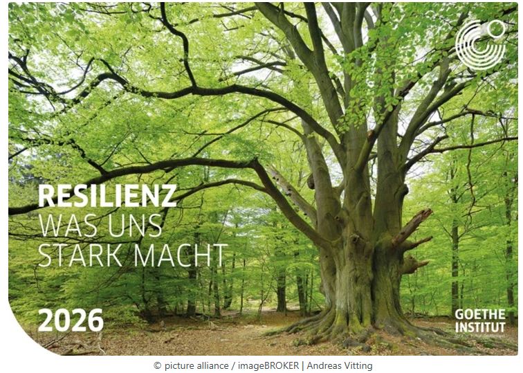 E.07_Woltermann, Theresia